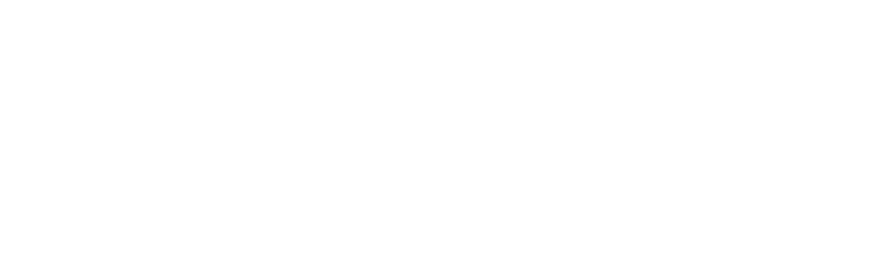 Black Frog Elektro